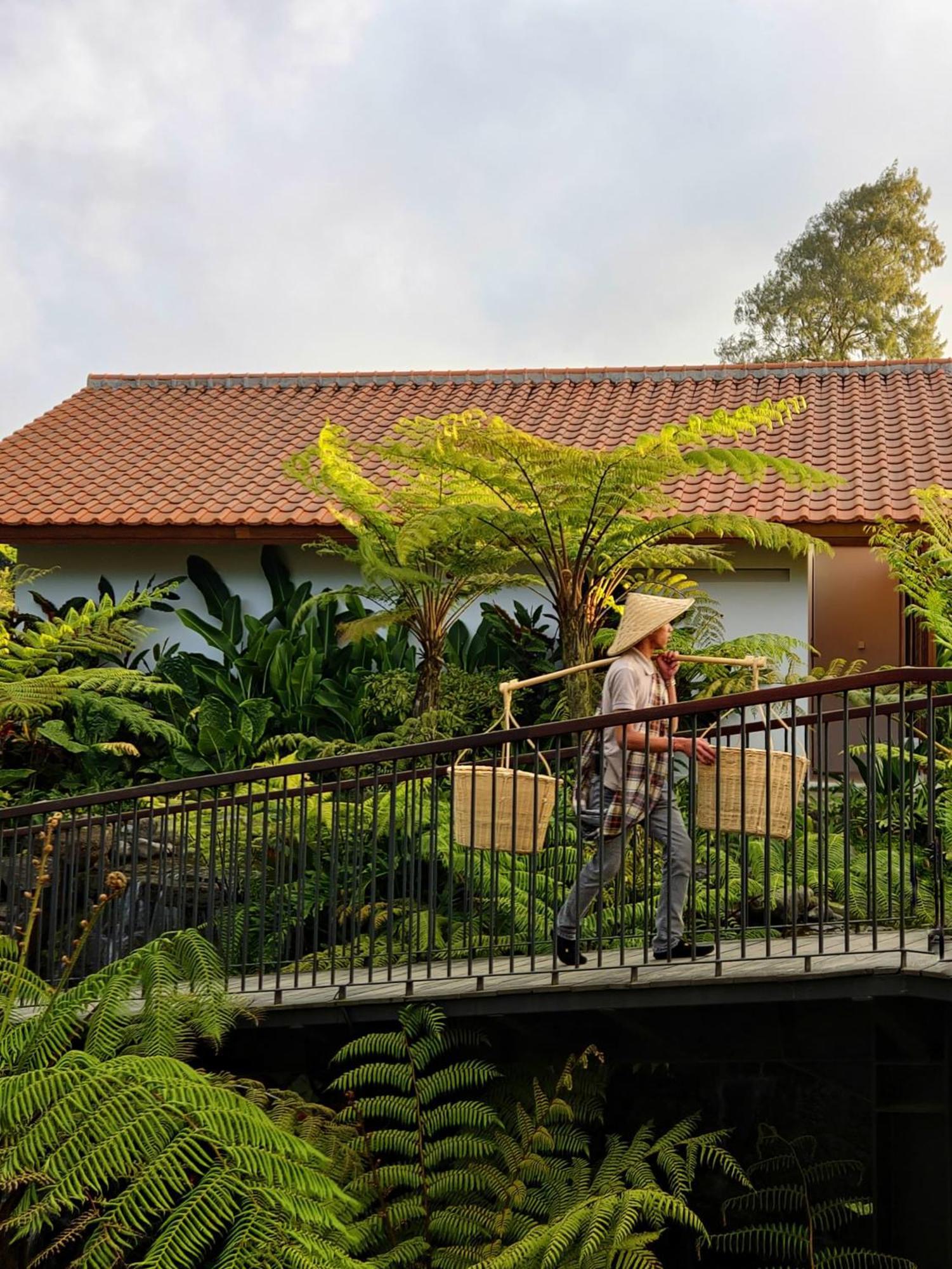 Dusun Bedugul Asri Hotel Kültér fotó